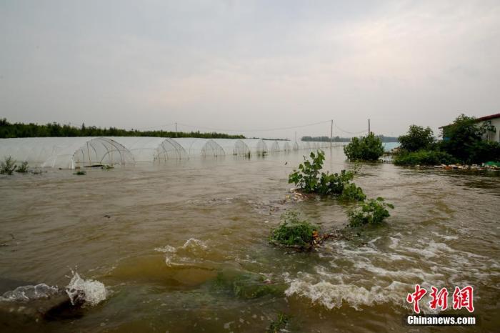 7月22日，安阳市西于曹村附近，积水已经漫过301省道，部分房屋农田被淹。19日至22日，河南安阳遭遇强降水，平均降水304.6毫米。据气象部门预测，22日16时以后安阳市有分散性阵雨，23日白天降水趋于结束。图为被淹的农田。 <a target='_blank' href='http://www.chinanews.com/' _fcksavedurl='http://www.chinanews.com/' _fcksavedurl='http://www.chinanews.com/'>中新社</a>记者 　张畅 摄 　